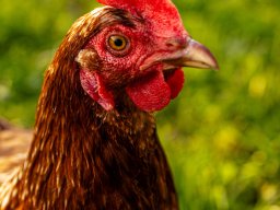 Fotowalk Pfarrwerfen - Bahnhof Werfen